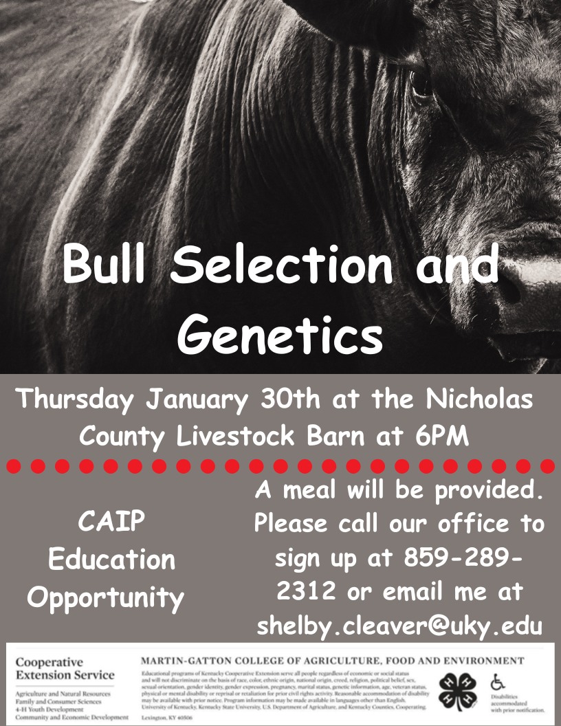 Bull Selection and Genetics