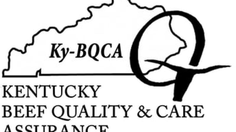 BQCA